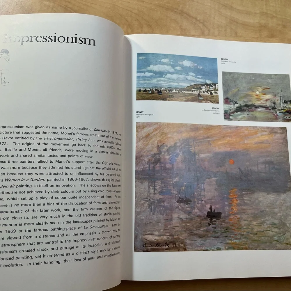 A century of modern painting by Muller Bellido Art Book